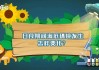 本泽马金球奖赛季，皇马欧冠夺冠核心
